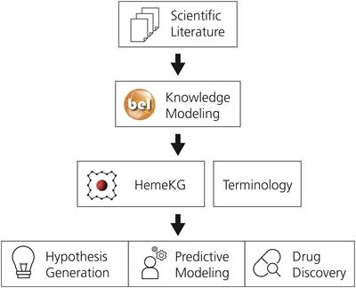 A Computational Approach for Mapping Heme Biology in the Context of Hemolytic Disorders